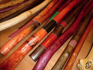 Didgeridoo TD