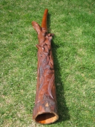 Didgeridoo s ješterkama